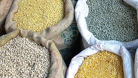 பருப்பு உற்பத்தியில் தற்சார்புத் திட்டம்: வெற்றி பெறுமா?