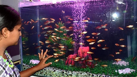 கோப்புப்படம்