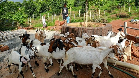 கோப்புப் படம்