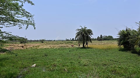 பரந்தூர் விமான நிலையத்தை சட்டப் போராட்டம் மூலம் தடுப்போம்: போராட்டக் குழு திட்டவட்டம்