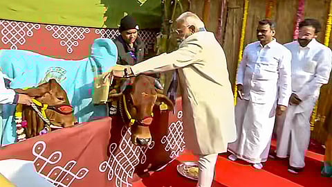 அமைச்சர் எல்.முருகன் வீட்டில் நடைபெற்ற பொங்கல் விழாவில் பங்கேற்ற பிரதமர் மோடி.