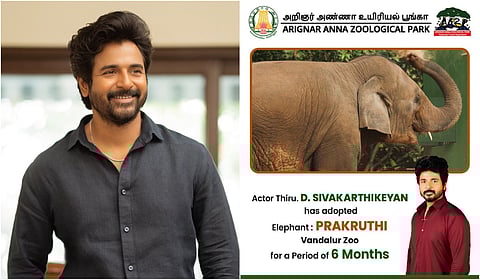 யானையைத் தத்தெடுத்த சிவகார்த்திகேயன்