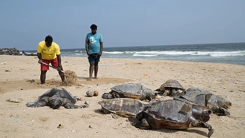 கோப்புப் படம்