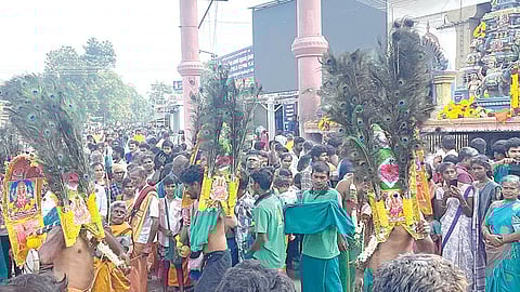 தைப்பூசத் திருவிழாவையொட்டி பழநி முருகன் கோயிலுக்கு காவடி எடுத்து வந்த பக்தர்கள்.