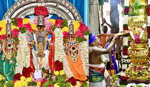 பழநி தைப்பூசத் திருவிழா