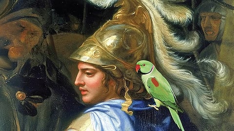 வரலாறு பேசும் கிளிகள்! | வரலாறு முக்கியம் மக்களே! - 35