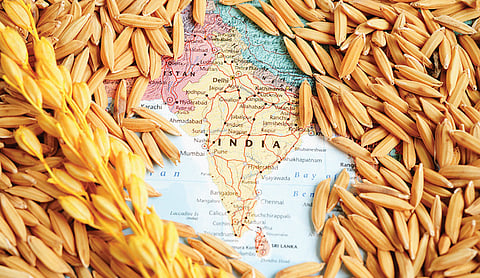 அரிசியின் அரசியாக இந்தியா ஆனது எப்படி? | சொல்... பொருள்... தெளிவு