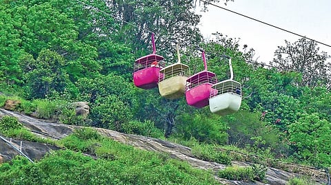 காட்டுக்குள் திட்டங்கள்: இயற்கையை அழிக்கலாமா?