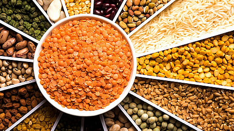 ஐரோப்பாவுடன் வர்த்தக ஒப்பந்தம்: அரிசி, பருப்பு இறக்குமதிக்கு வரிச் சலுகை இல்லை