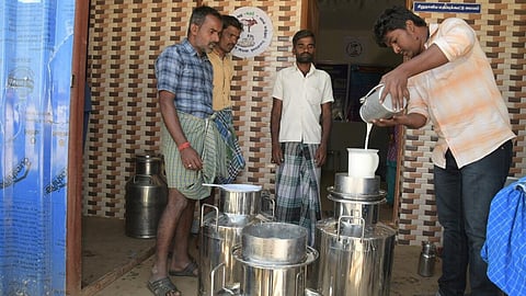 கர்நாடகத்தில் இருந்து பால் கொள்முதல் செய்யும் முடிவை கைவிடுக: ஆவின் நிறுவனத்துக்கு அன்புமணி கோரிக்கை
