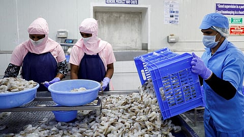 கடல் உணவு தொழிலை மேம்படுத்த மத்திய பட்ஜெட்டில் சலுகைகள் அறிவிப்பு