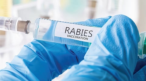 நாய்க்கடித் தடுப்பூசியில் என்ன பிரச்சினை?