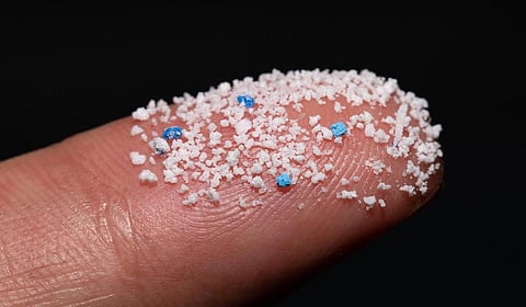 பிரதிநிதித்துவப் படம்