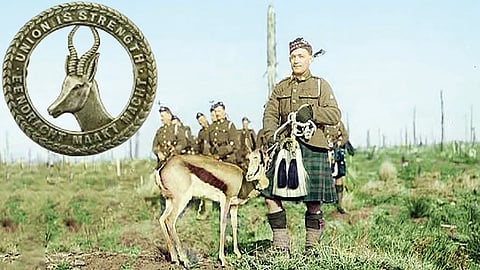 உலகப் போரின் செல்லக்குட்டி நான்சி! | வரலாறு முக்கியம் மக்களே! - 37