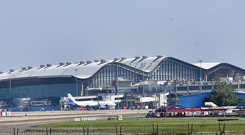 தாய்லாந்தில் இருந்து சென்னைக்கு கடத்தி வரப்பட்ட பாம்பு உள்ளிட்ட 31 அரிய வகை உயிரினங்கள் பறிமுதல்