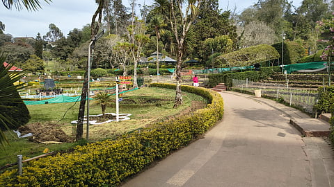 வெறிச்சோடி காணப்படும் கொடைக்கானல் பிரையண்ட் பூங்கா.