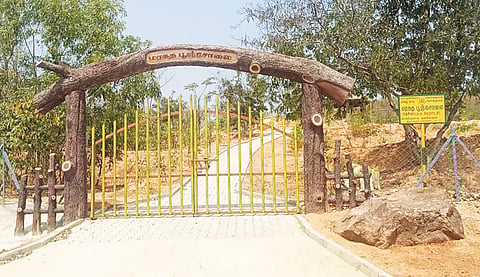 நாட்றம்பள்ளி அடுத்த தெக்குப்பட்டு ஊராட்சியில் ரூ.24 லட்சம் செலவில் உருவாகி வரும் மரகத பூஞ்சோலை சுற்றுலா பயணிகளை கவர்ந்து வருகிறது.