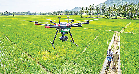 விவசாயத்திலும் ஏஐ வந்து விட்டதா...!