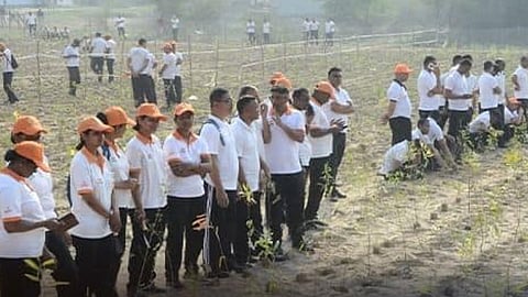 மோடியின் வாராணசி தொகுதியில் ஒரு மணி நேரத்தில் 2.5 லட்சம் மரக்கன்றுகள் நட்டு கின்னஸ் சாதனை