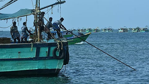உறுப்பினர்கள் நலத்திட்டங்களை பெற இணையம் மூலம் விண்ணப்பிக்கலாம்: மீனவர் நலவாரியம் தகவல்