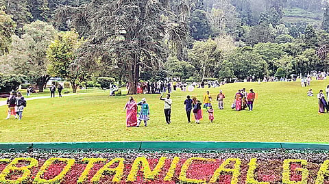 ஊட்டி தாவரவியல் பூங்காவில் விளையாடி மகிழும் சுற்றுலா பயணிகள். | படம்: ஆர்.டி.சிவசங்கர் | 