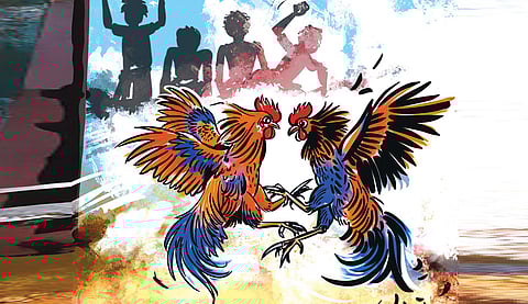 சேவல்கட்டுக் கனவு | மயில்கள் அகவும் பெருநிலம் 23