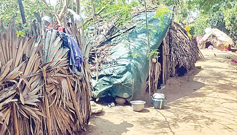 கடம்பாடி ஊராட்சியில் குளக்கரையில் குடிசைகளில் வசித்து வரும் இருளர் குடும்பத்தினர்.