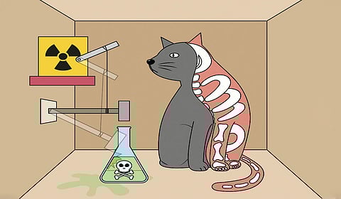 சூப்பர் பூனையும் இணை உலகங்களும் | அணு முதல் அண்டவெளி வரை 11