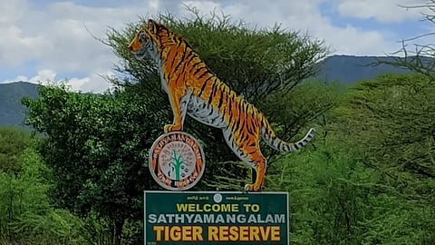 சத்தியமங்கலம் புலிகள் சரணாலயத்தில் சட்டவிரோதமாக செயல்பட்ட 42 ரிசார்ட்கள் மூடல்