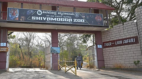 கர்நாடகாவில் நீர்யானை தாக்கி மருத்துவர் உயிரிழப்பு