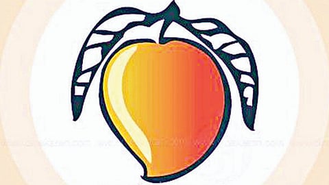 மாம்பழம் சின்னத்தை முடக்க கோரும் விவகாரம்: ராமதாஸ் மனு மீது 3 நாட்களில் தீர்ப்பளிக்க உச்ச நீதிமன்றம் உத்தரவு