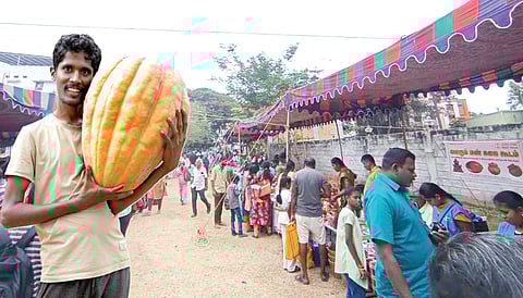 சேலத்தில் நடைபெறும் மரபுச் சந்தை. (உள்படம்) பாரம்பரிய மரபு விதை மூலம் உற்பத்தி செய்த பூசணிக்காயுடன் அரவிந்தன்.