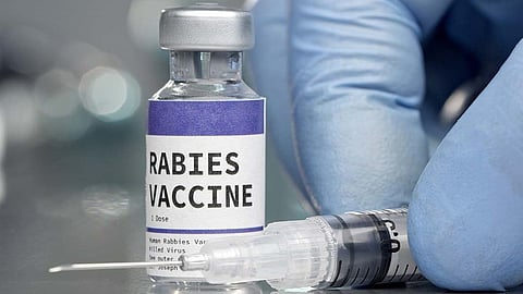 வெறிநாய்க் கடி தடுப்பூசியை தவிர்த்த மும்பை சிறுமி உயிரிழப்பு