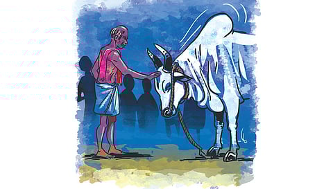 மழையின் சுபாவம் | மயில்கள் அகவும் பெருநிலம் 25