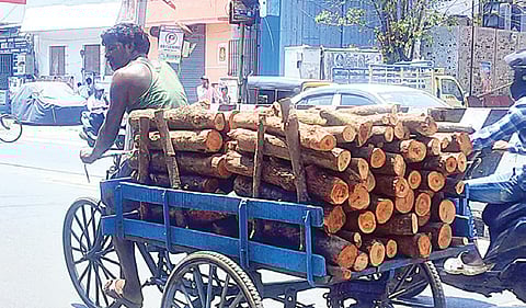 சென்னை வால்டாக்ஸ் சாலையில் ஓட்டல் பயன்பாட்டுக்காக 3 சக்கர சைக்கிளில் கொண்டு செல்லப்படும் விறகு. | படம்: ச.கார்த்திகேயன் |