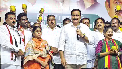 பெரம்பூரில் விஜய் வெற்றி பெற்றால் தொகுதி மக்கள் பனையூருக்கு தான் செல்ல வேண்டும்: அன்புமணி விமர்சனம்