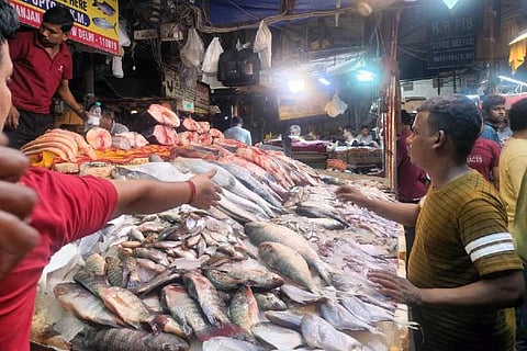 மேற்கு வங்கமும் மீன் அரசியலும் - மாறி மாறி குற்றம் சாட்டும் பாஜக, டிஎம்சி