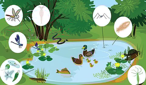 உதவித்தொகையோடு முதுகலைப் படிப்பு