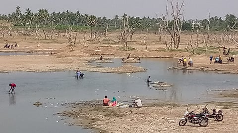 ஈரோட்டில் பல்லுயிர் பாரம்பரியத் தலம் பாதிப்பு: உடனடி நடவடிக்கை தேவை