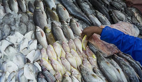 கோப்புப் படம் 