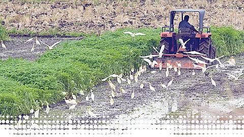 அங்கக வேளாண்மையின் அடிப்படை அறிவோம் | இயற்கை விவசாயத்தை நம்புவோம்