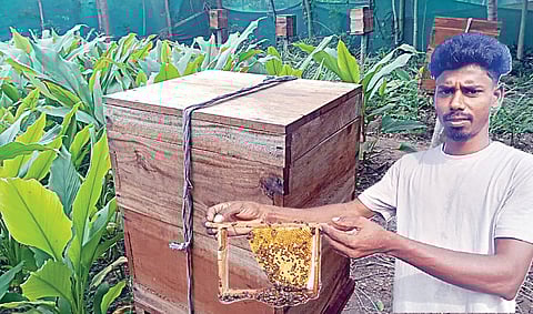 தேனீ வளர்ப்புப் பெட்டி. ( உள்படம்) தேனடையுடன் மாதவன்.