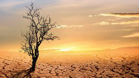 சூப்பர் எல்-நினோ உருவாகியிருக்கிறதா?