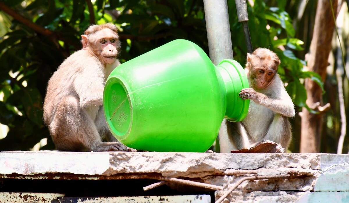 தமிழகத்தில் மே 2 வரை வழக்கத்தை விட 3 டிகிரி வெப்பநிலை அதிகரிக்க வாய்ப்பு