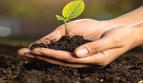 மண் வளப் பாதுகாப்பே தமிழ்நாட்டு விவசாயத்தின் பாதுகாப்பு