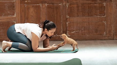 Pawga: Inside India's First 'Pet Yoga' Experience