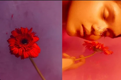 Homegrown Visual Artists On Our Radar