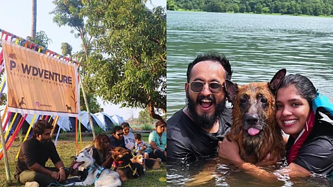Take Your Dog Camping With This Homegrown Eco-Tourism Company