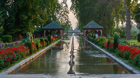 Inside Shalimar Bagh: One Of India's Last Surviving Mughal Gardens