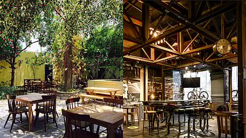 Autumn Leaf Cafe, Driven Cafe